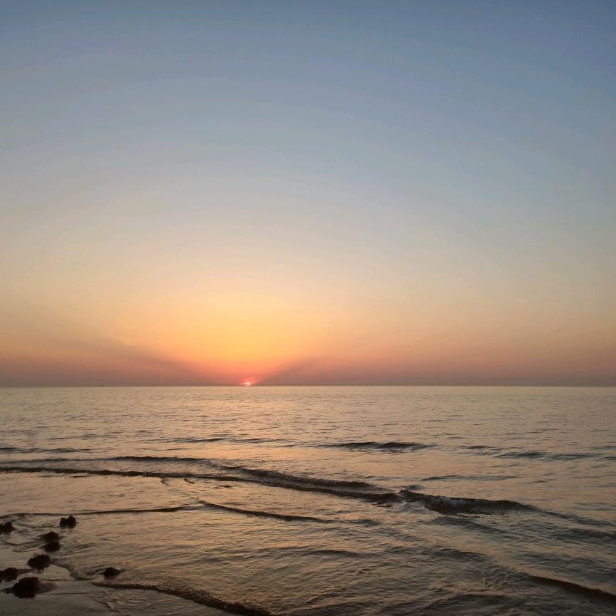 网络上发疯，现实中社恐