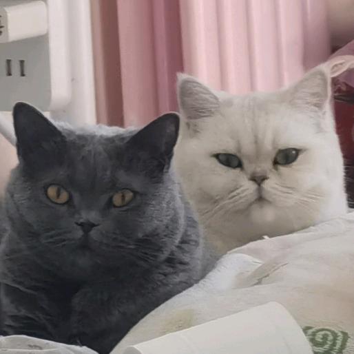 可乐不是喝的！