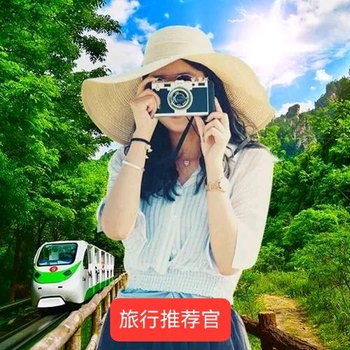 鲲鹏国际旅行社（上海）有限公司鲲鹏国旅旅行社（上海）有限公司