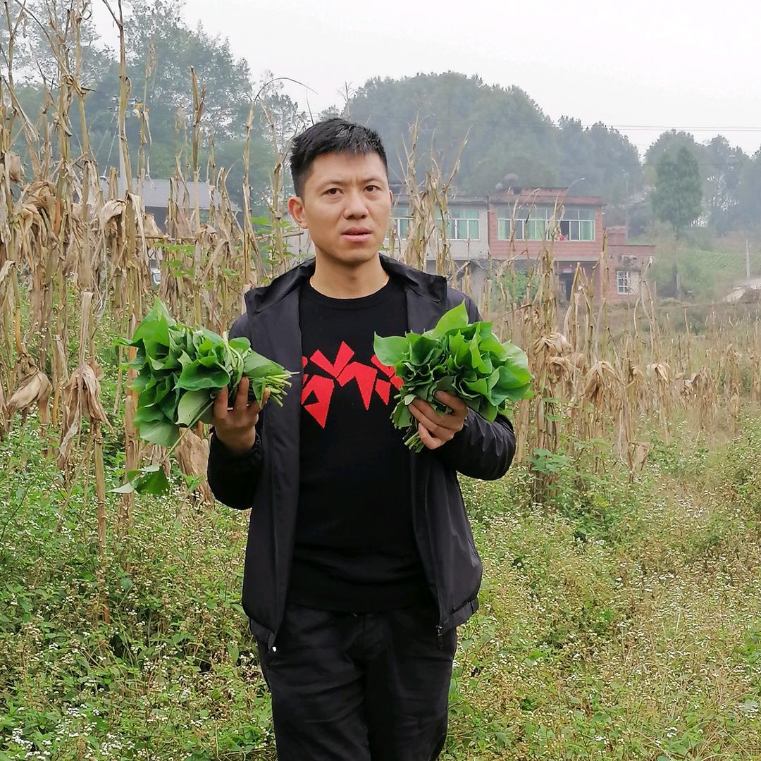 况权水毛肚丝，肚条批发