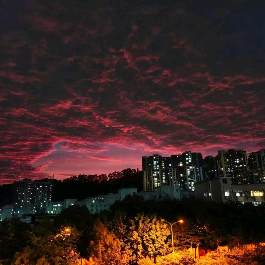 💯罗先森