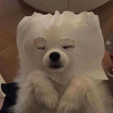 🍟晃呀晃