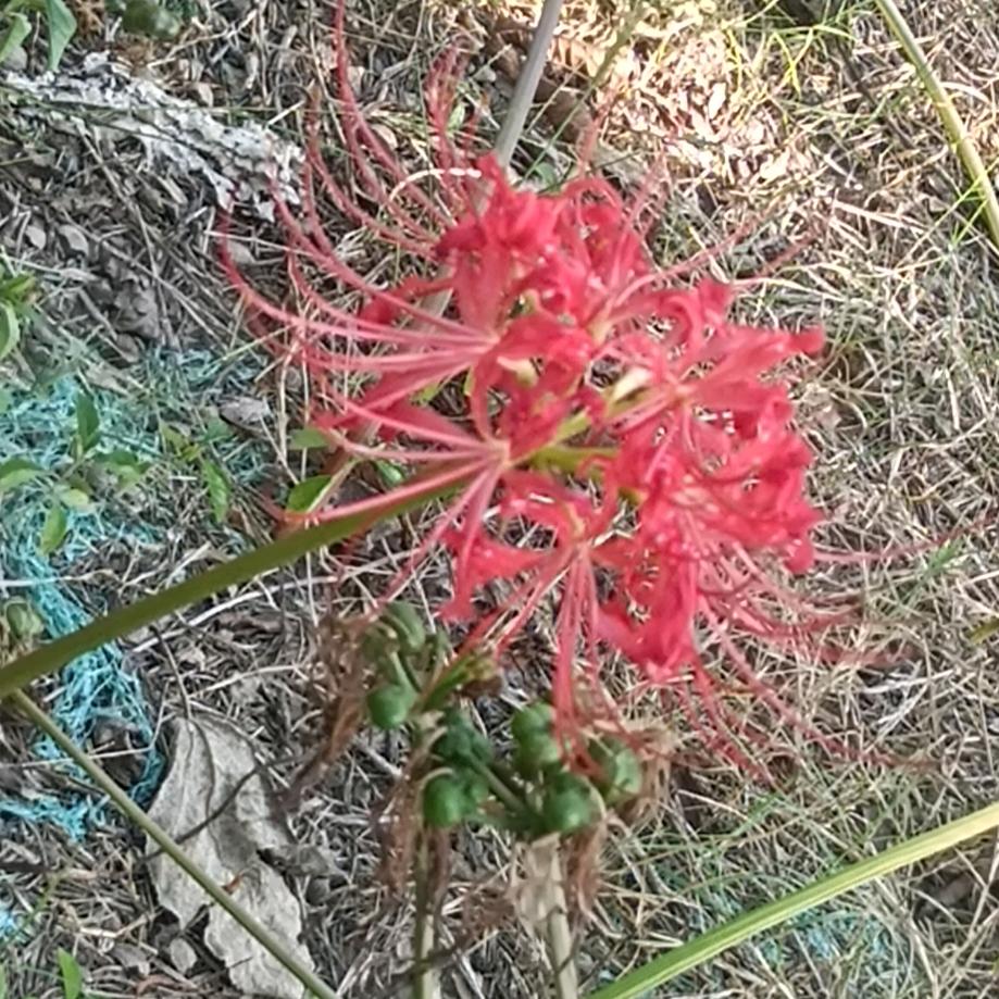 天天手工包