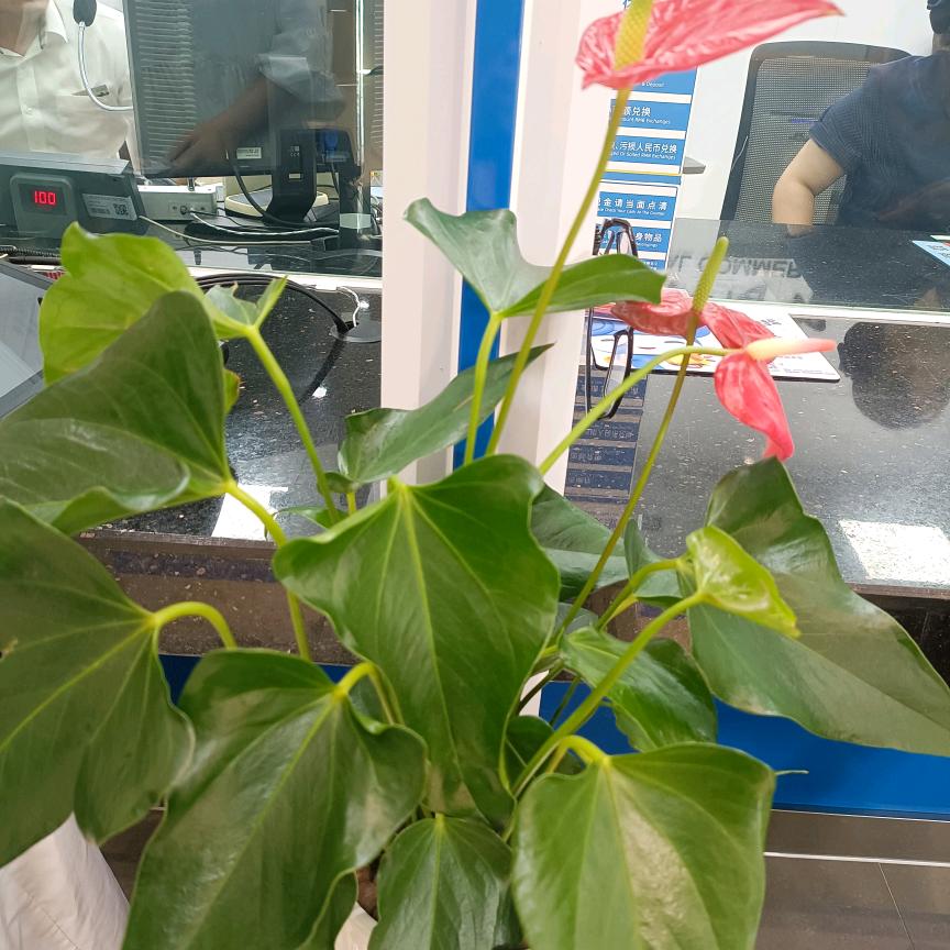 忘掉过去，重新开始