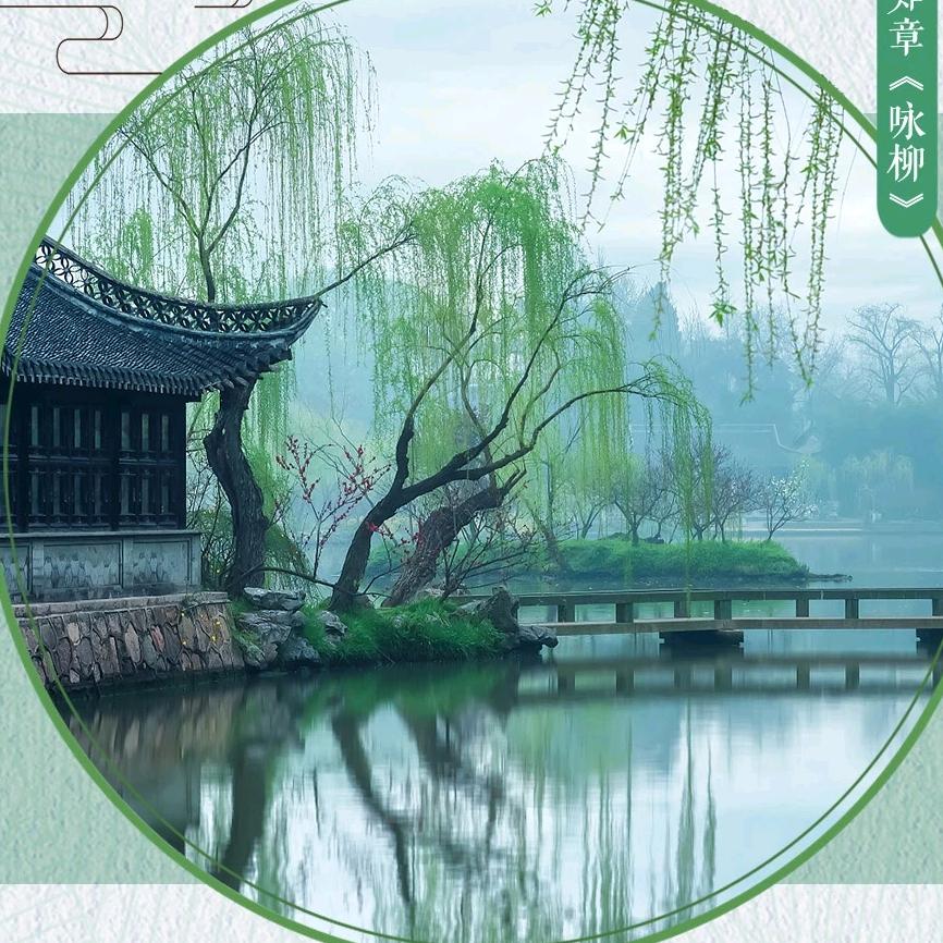 弱电智能化-张化柱