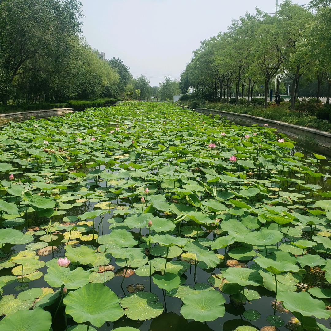 瞎跑1