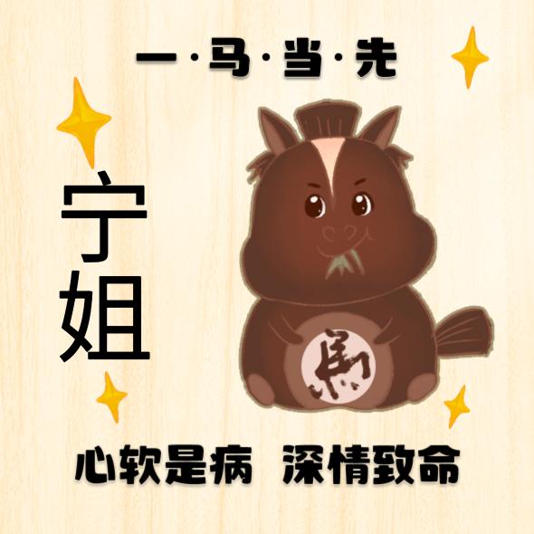 宁姐