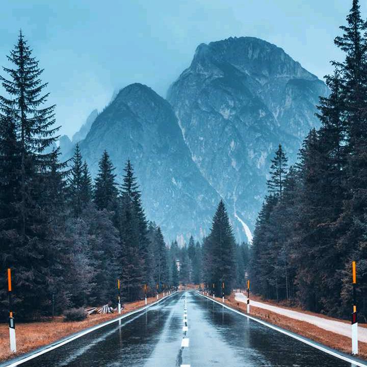 《双桥》农小伙执缘