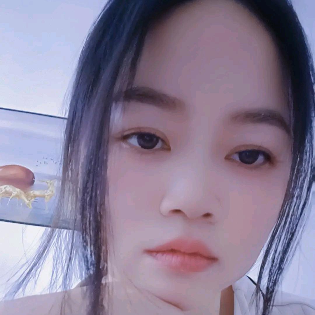 谁偷了我的猫