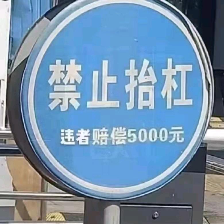 韩森杜鲁特