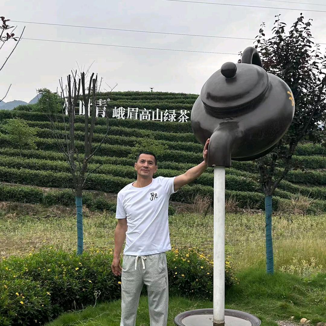 给地球换心脏的医生