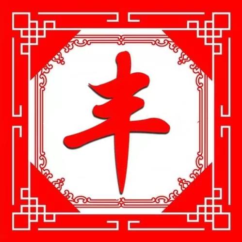 长春 苫布 彩条布 遮阳网 编织袋