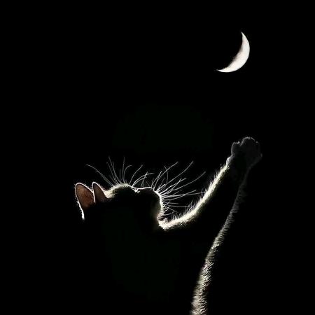 大理-舞台妆造 静儿