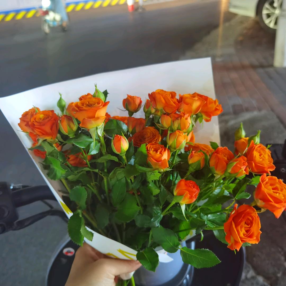 花好月圆^O^