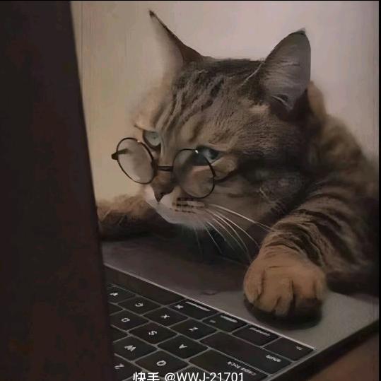 摸鱼仔