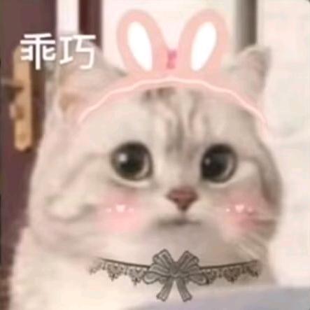 迟到的理解