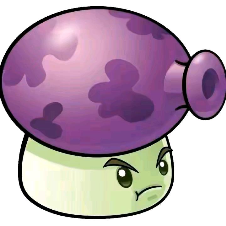 🟣🟣🟣🟣🟣