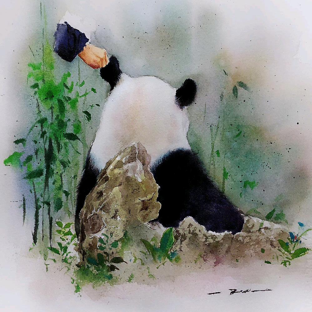 最爱橙子的小白。