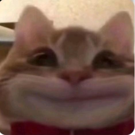 不知道起什么名字好