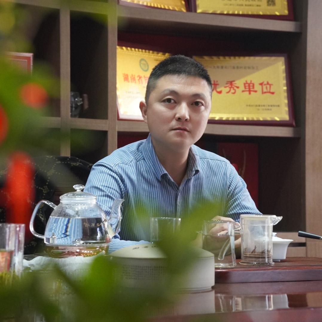 向君辉雾泉碧茶业