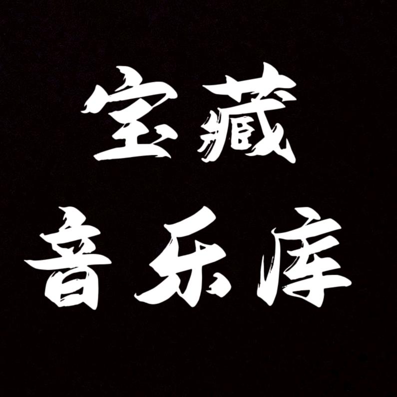 宝藏音乐库(车载优盘)