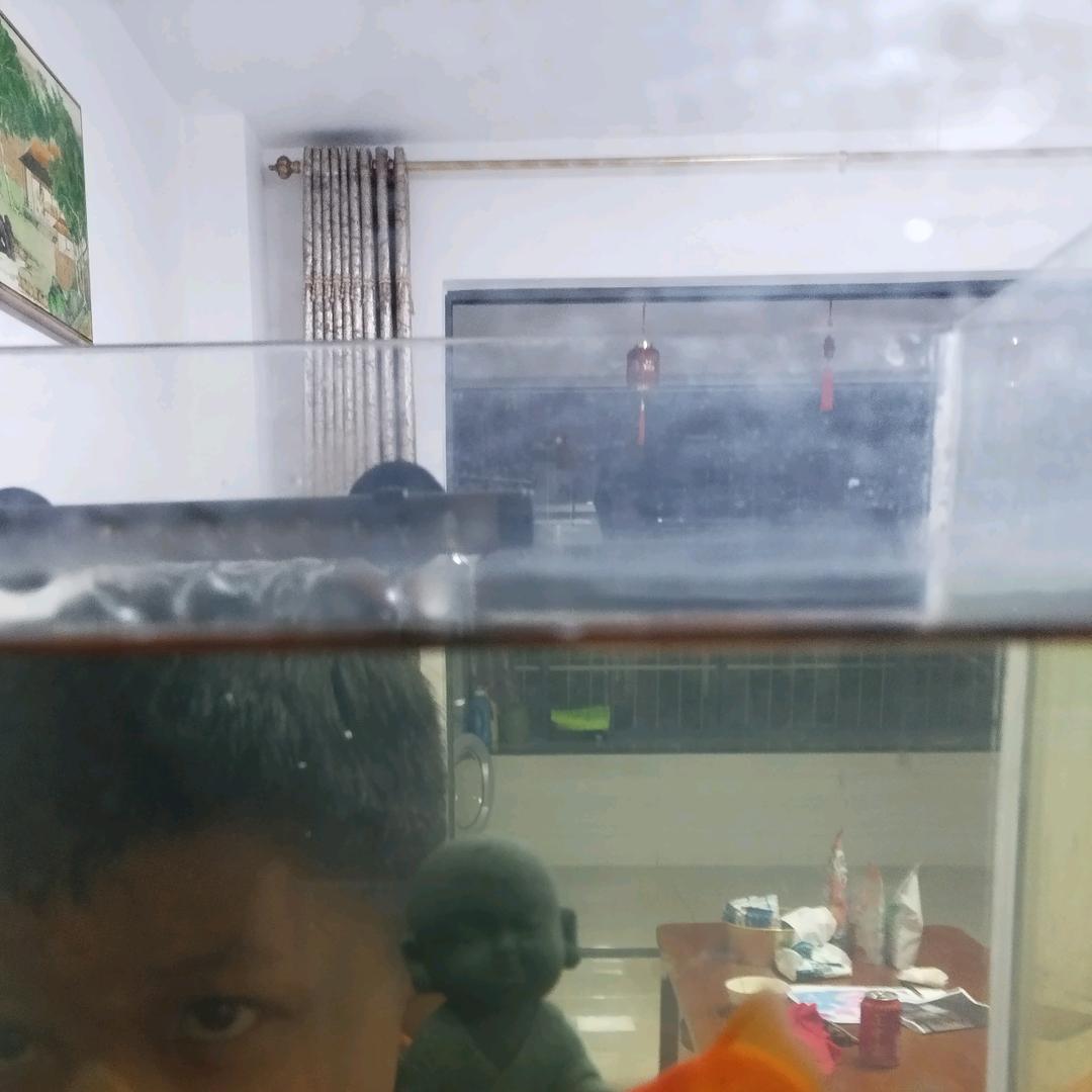 陈姐