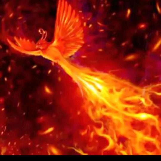 火凤凰