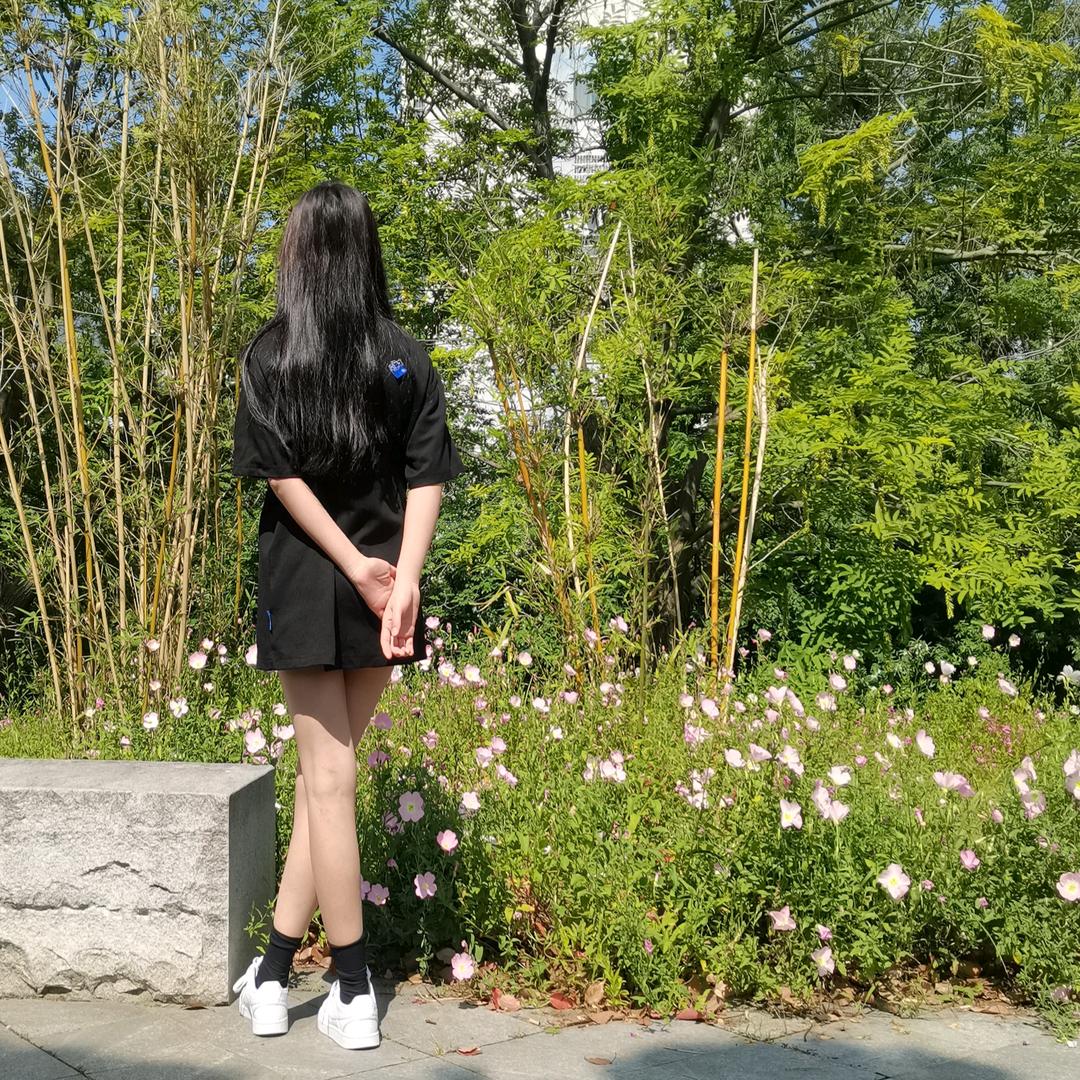 苇子园  小杨汽修