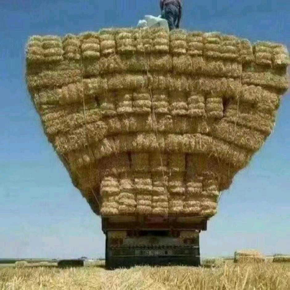 塔依尔卖草