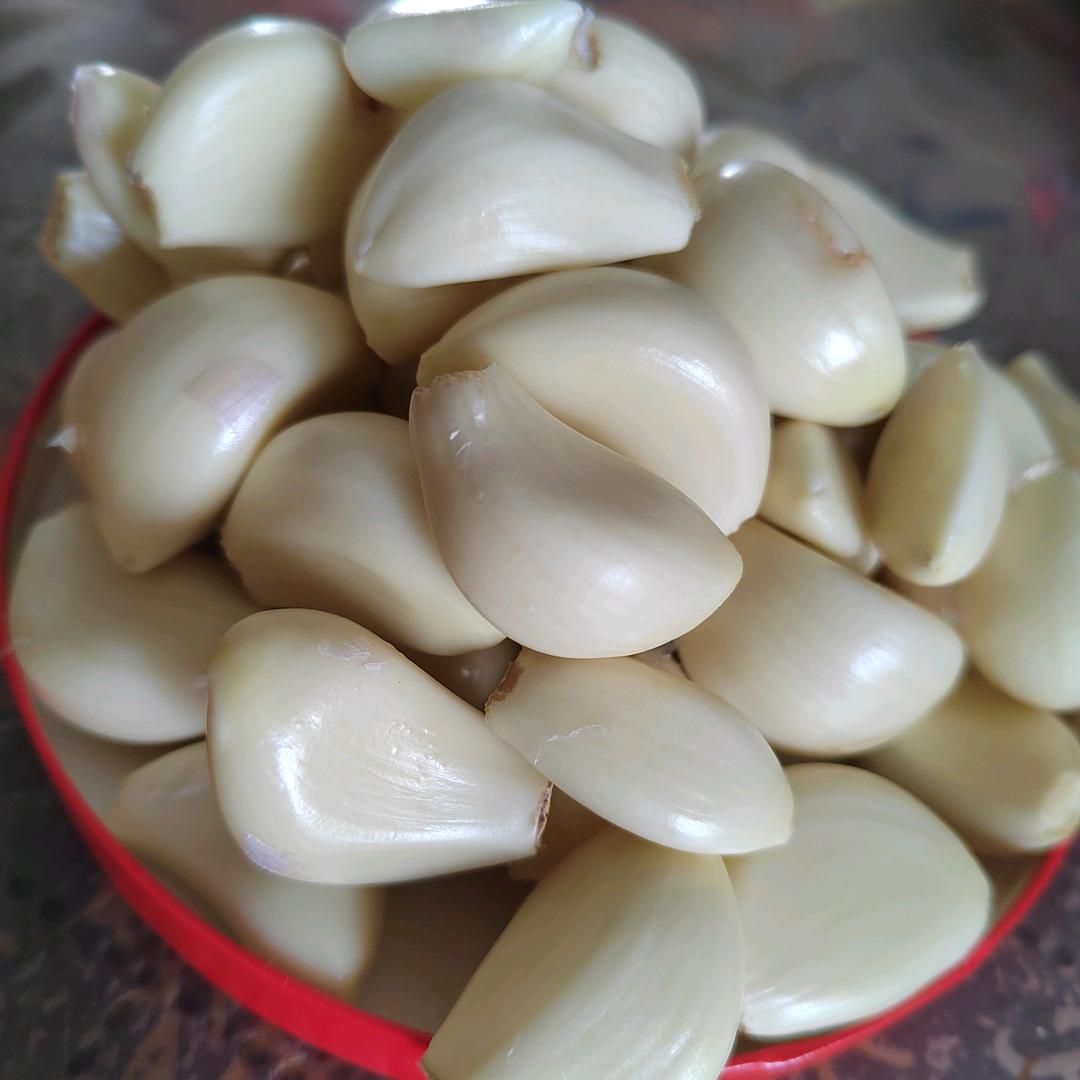 冬💍青☀️树🍎