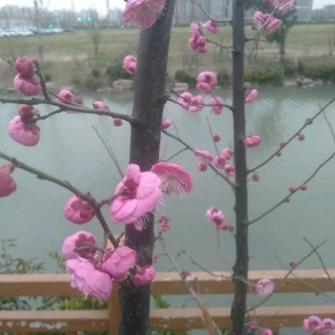 春去夏来