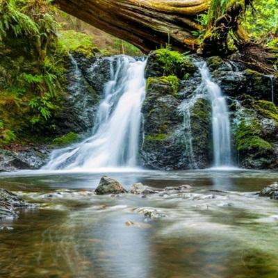 开心真好🍀🍀🍀🌷🌷🌷