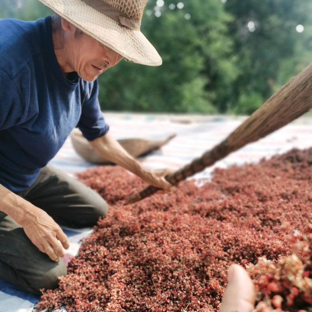 🌸韩城嘉诚花椒产地直销🌸