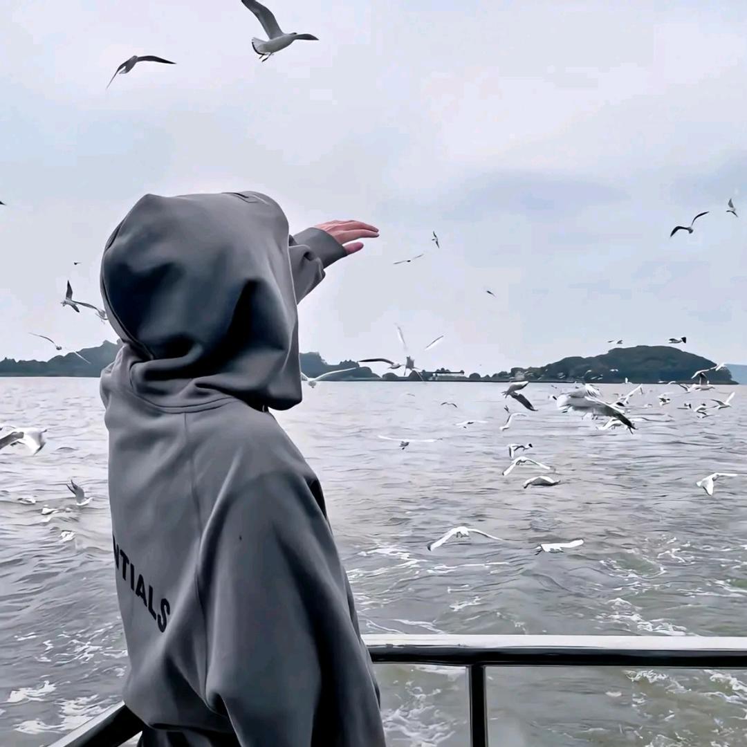 马鞍山小哥哥🧐