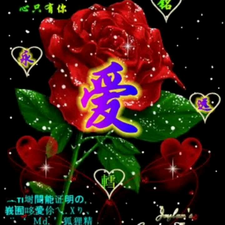 带刺玫瑰，888
