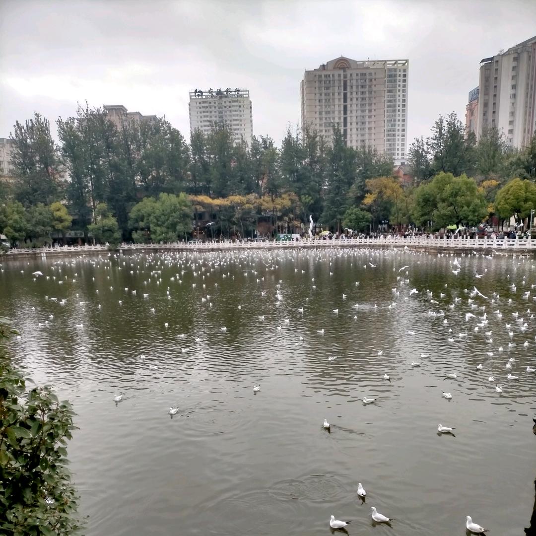 落叶知秋