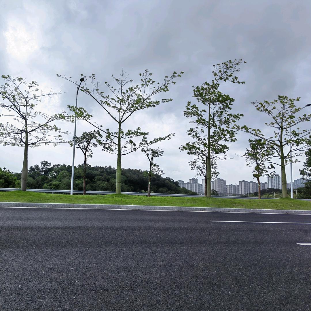 那年青春我们正好