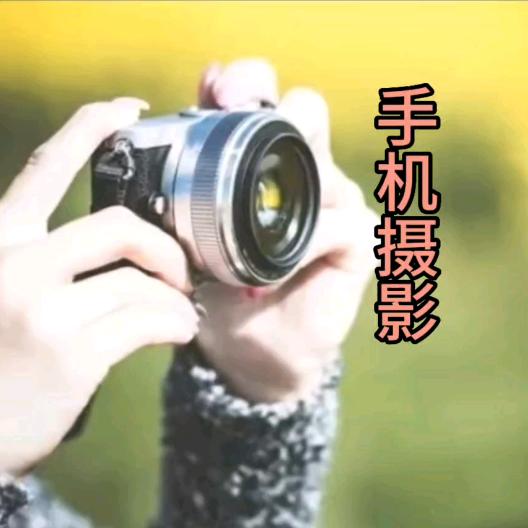 阳光未来（剪影）