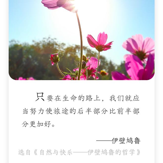 五金老胡