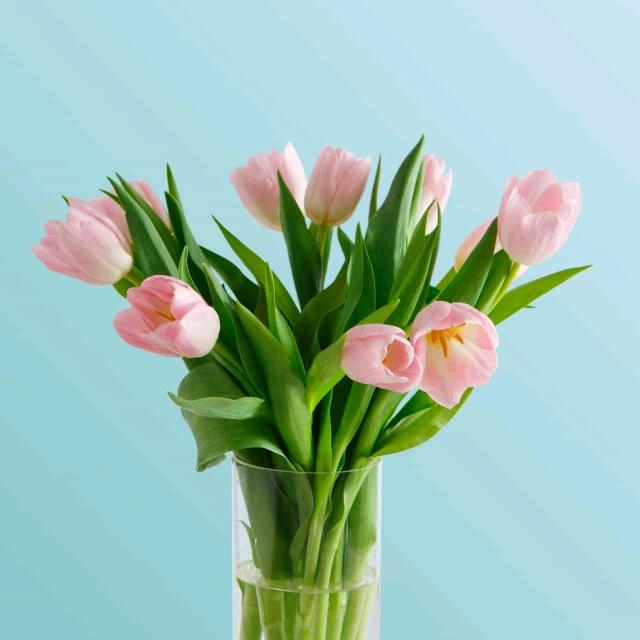 永
