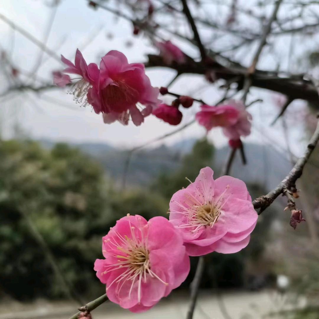 琰桢奶奶 拒接私聊