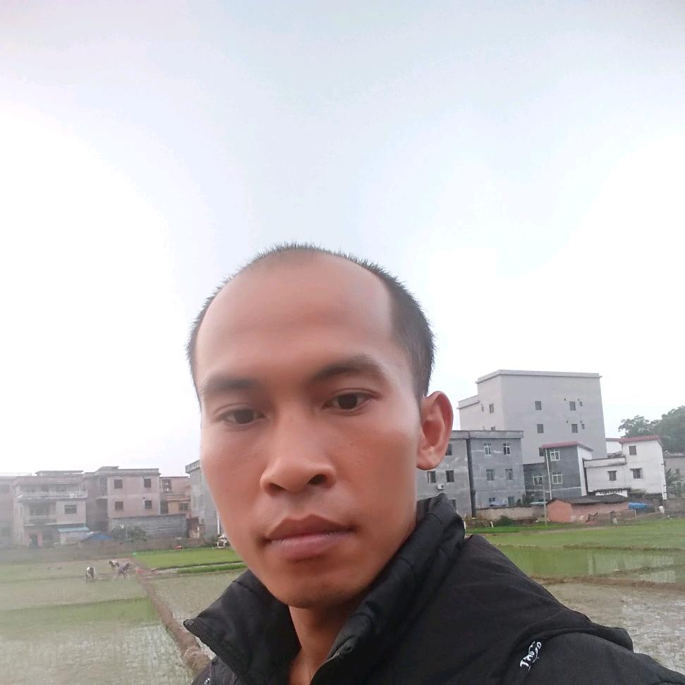 洋哥