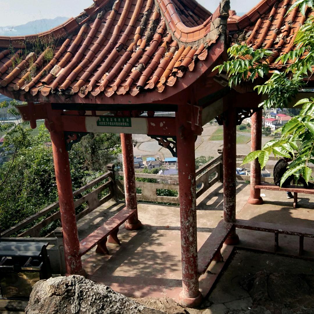 平哥的幸福🍎🍎🍎