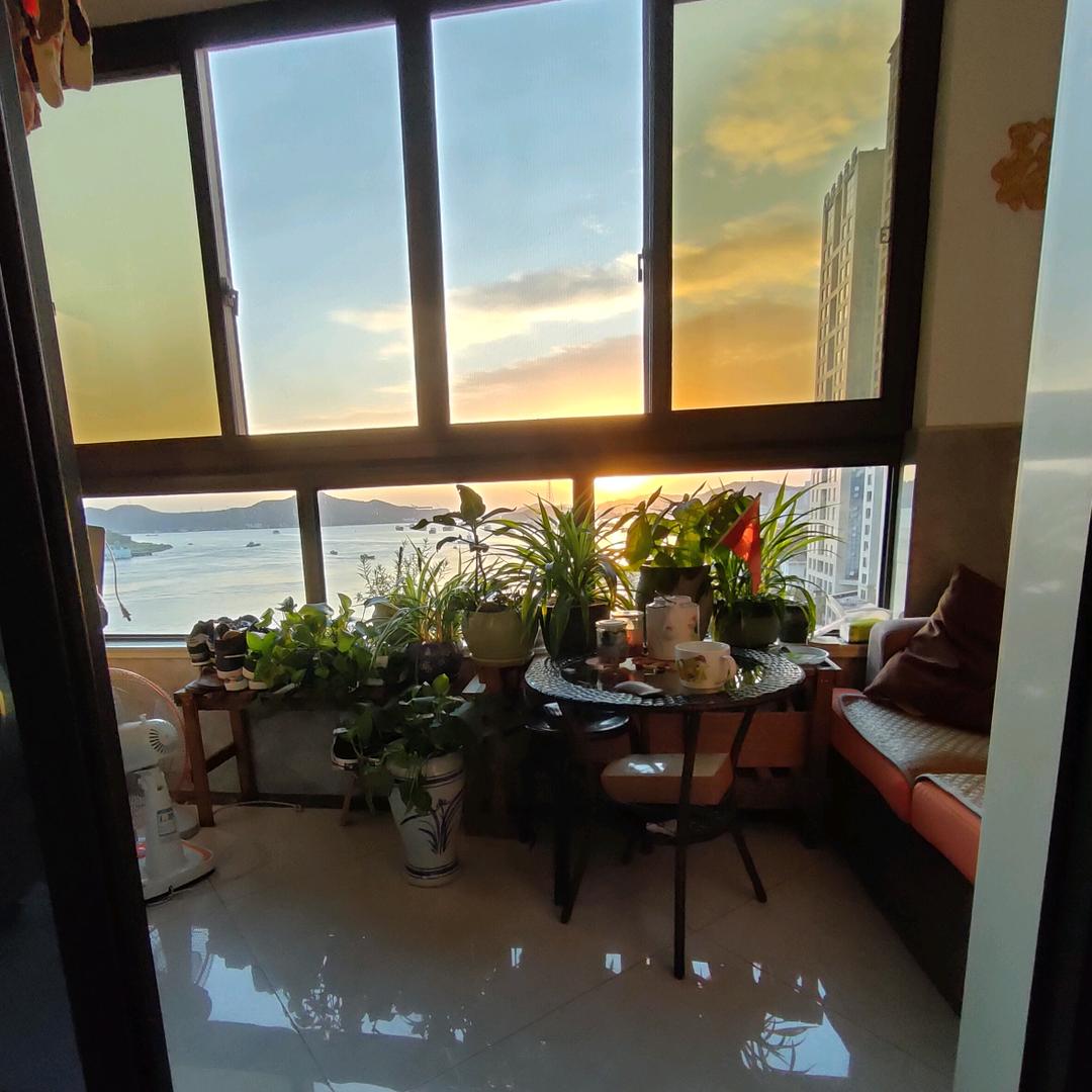 望海童彤