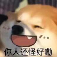凯凯