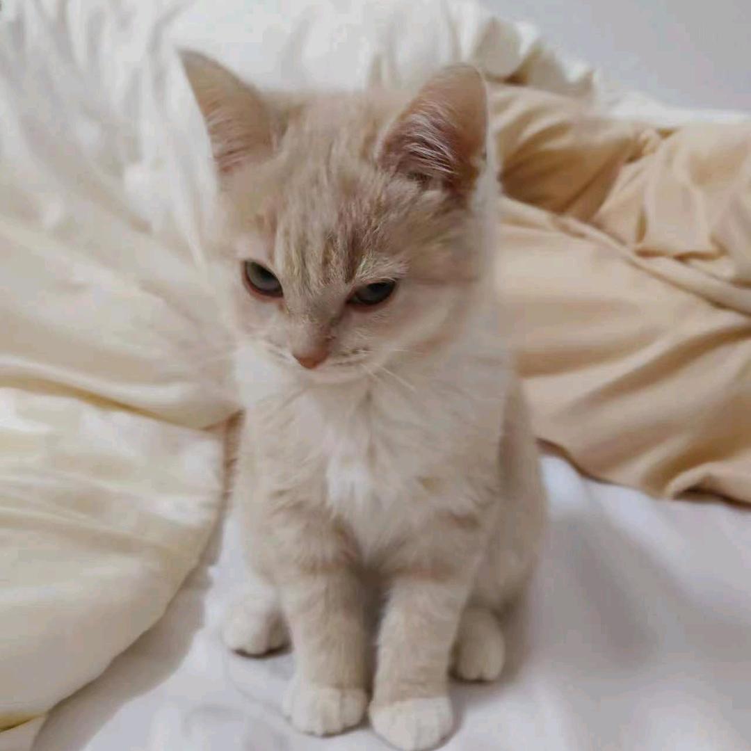 杨一生活百货