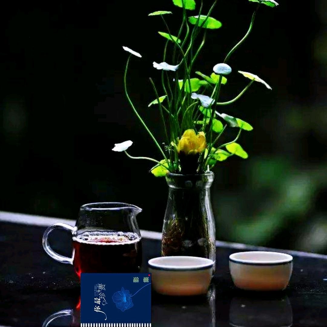 歲月凝香（谢绝关注）