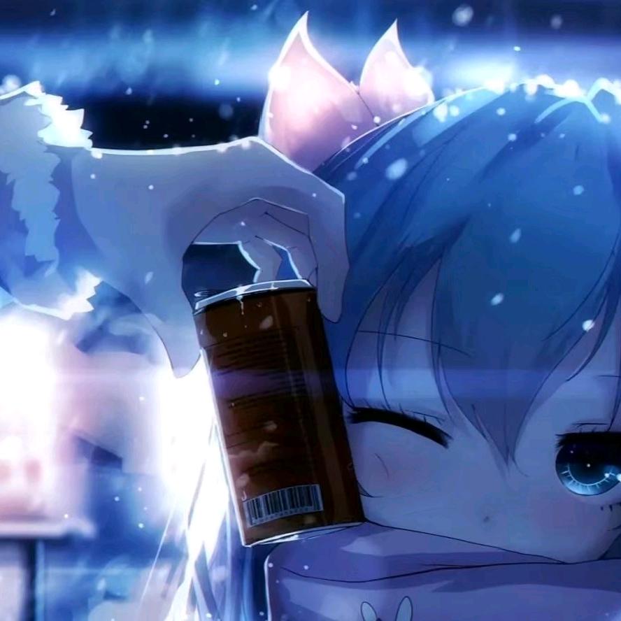 双儿虚假技术流
