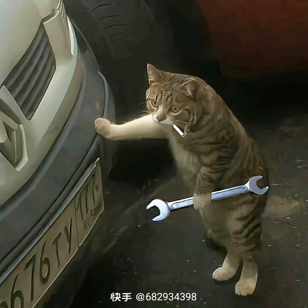 生人勿扰。