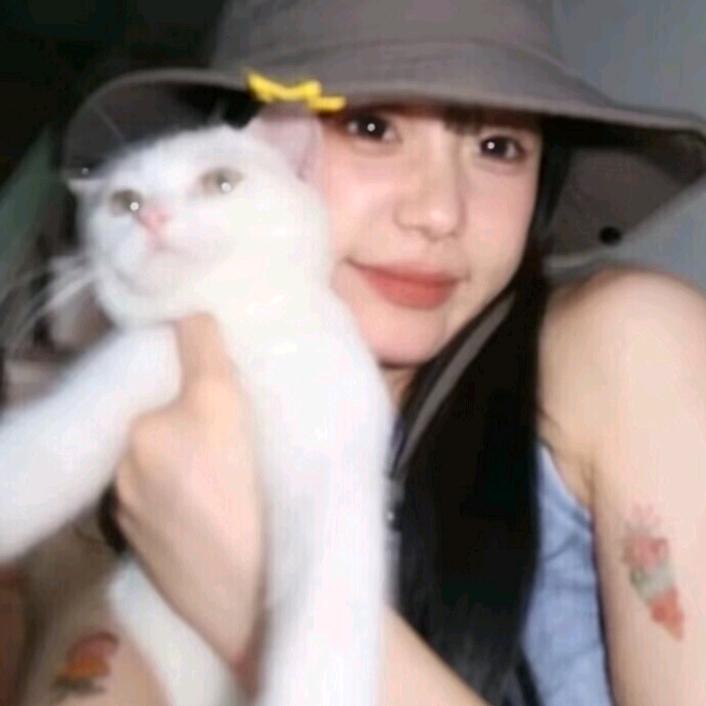 别吵我睡觉
